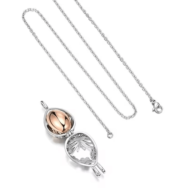 Ashanger met capsule